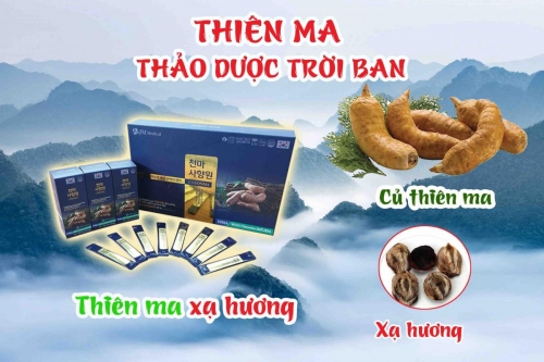 Quy Trình Sản Xuất Thiên Ma Xạ Hương - JM Medical